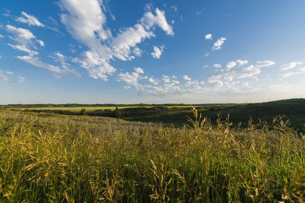 Schöne Aufnahme von Grasfeldern unter einem klaren blauen Himmel mit weißen Wolken — Stockfoto