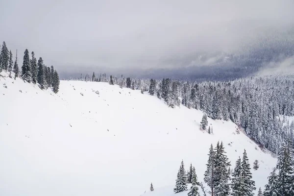 白い雪に覆われ 空の下に広がる山々 — ストック写真