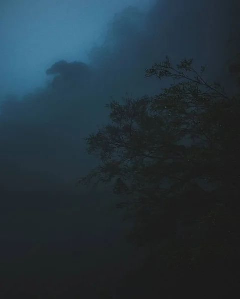 Вертикальный снимок дерева с тёмным облаком на заднем плане — стоковое фото