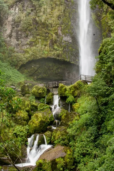 Krásná scenérie lesa s úžasnými šumivými vodopády — Stock fotografie