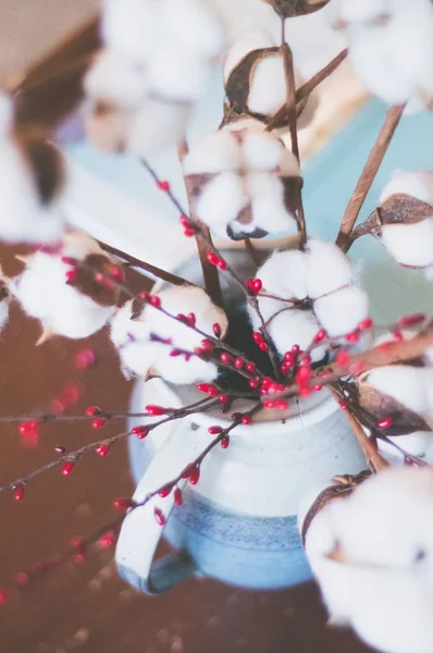 Close-up selectieve focus shot van een mooie katoen bloem — Stockfoto