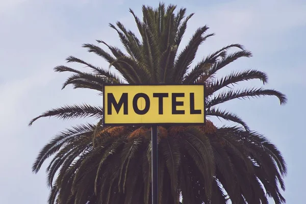 Sign that says "MOTEL" on it with the beautiful top of a palm tree in the background — Stock Photo, Image