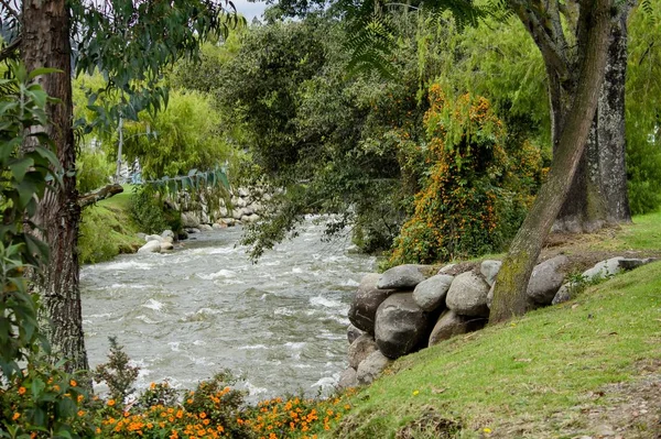 Hermoso Río Atravesando Parque Rural — Foto de Stock