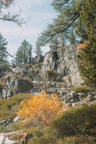 Vue verticale d'arbres à feuilles vertes et jaunes sur une colline rocheuse et une falaise en Californie, États-Unis — Photo