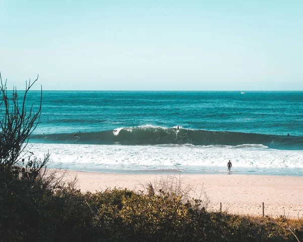Algunos Surfistas Costa Del Mar — Foto de Stock