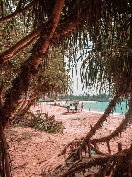 Playa tropical con gente de pie junto al mar con grandes palmeras —  Fotos de Stock
