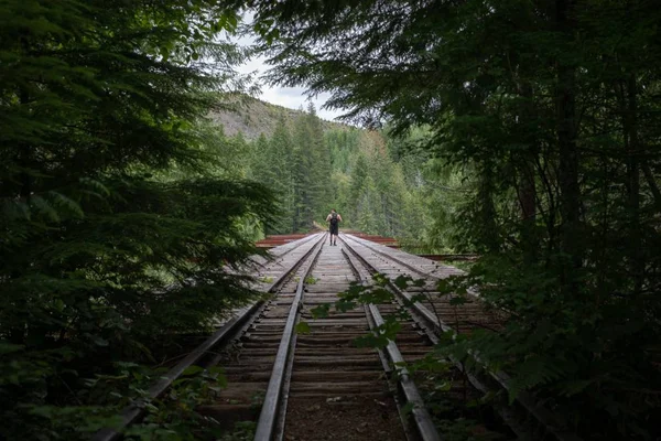 Ferrovia em uma ponte cercada por vegetação com uma pessoa em uma mochila andando sobre ela — Fotografia de Stock