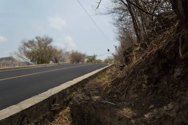 Camino de cemento cerca de un desierto — Foto de Stock