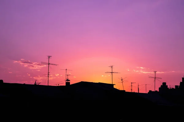 Beautiful pink sunset — Stock Photo, Image
