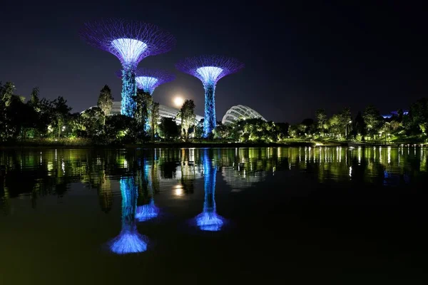 Hermoso Plano Los Altos Edificios Arquitectónicos Singapore Gardens Junto Bahía —  Fotos de Stock