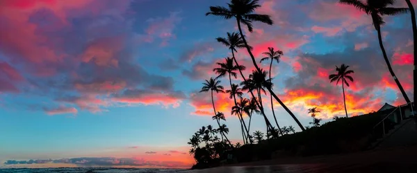 Hermoso panorama de altas palmeras y asombrosas nubes rojas y púrpuras en el cielo —  Fotos de Stock