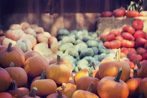 Nahaufnahme eines Haufens von Kürbissen mit anderen Früchten und Gemüse im Hintergrund in Unschärfe — Stockfoto