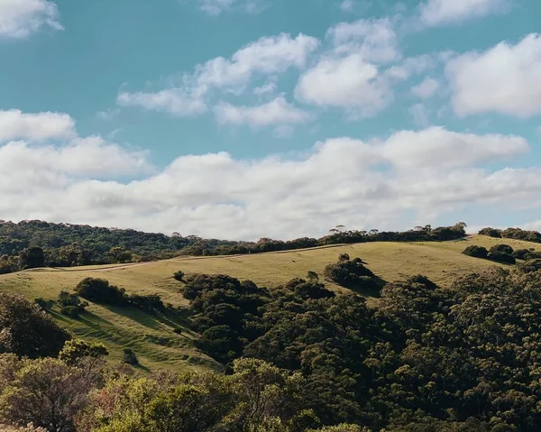 Schöne Landschaftsaufnahme eines grünen Hügels mit Bäumen unter einem klaren blauen Himmel mit weißen Wolken — Stockfoto