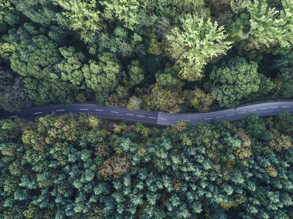 Воздушный кадр извилистой тонкой дороги, проходящей через густой лес — стоковое фото