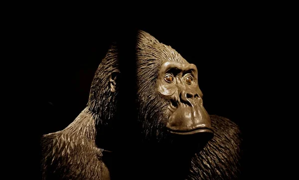 Tiro fechado de um manequim de gorila com um fundo escuro — Fotografia de Stock