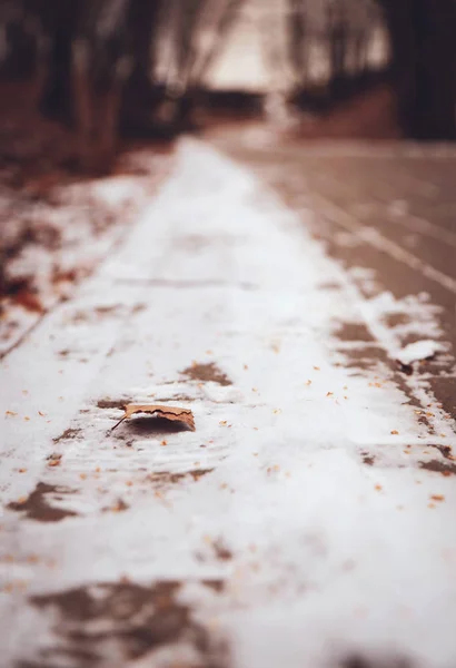 Entre Otoño Invierno — Foto de Stock