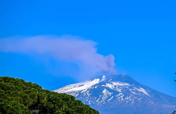 Gyönyörű lövés fák és havas vulkán a távolban egy tiszta kék ég a háttérben — Stock Fotó
