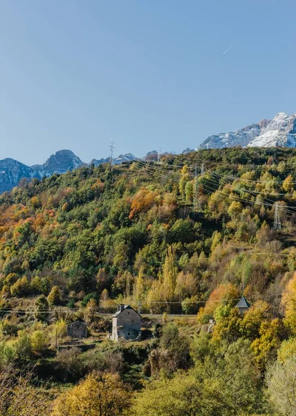 Schöne Fernaufnahme eines grauen Steinhauses inmitten eines Waldes, umgeben von viel Grün — Stockfoto