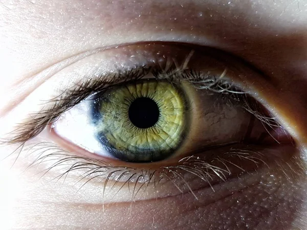 Belle macro gros plan des yeux profonds d'une femme humaine — Photo