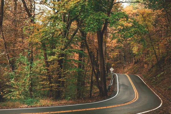 Amplio plano de un camino rodeado de árboles con hojas verdes y marrones — Foto de Stock