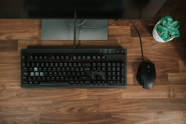 Närbild skott av en svart datortangentbord och mus på ett träbord med en krukväxt på det — Stockfoto