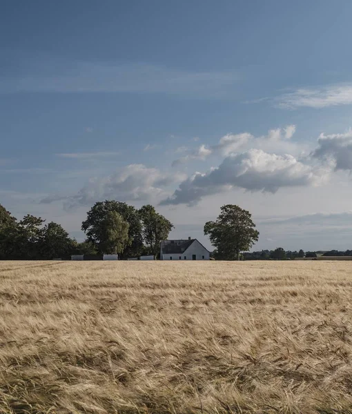 Όμορφο ευρύ πλάνο από ένα χωράφι με ξηρό γρασίδι με ένα σπίτι στο παρασκήνιο και εκπληκτικό συννεφιασμένο ουρανό — Φωτογραφία Αρχείου