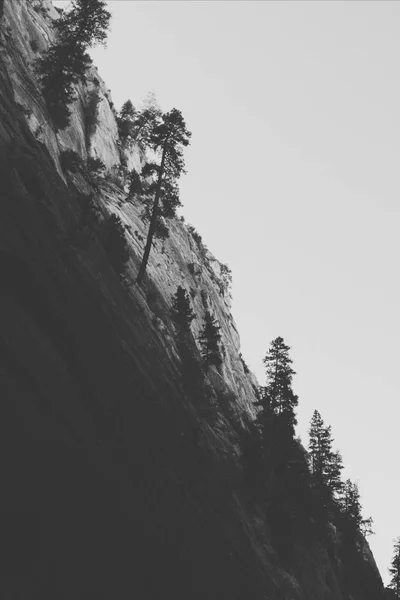 Pionowe Szare Ujęcie Pięknej Stromej Góry Drzewami Zion National Park — Zdjęcie stockowe