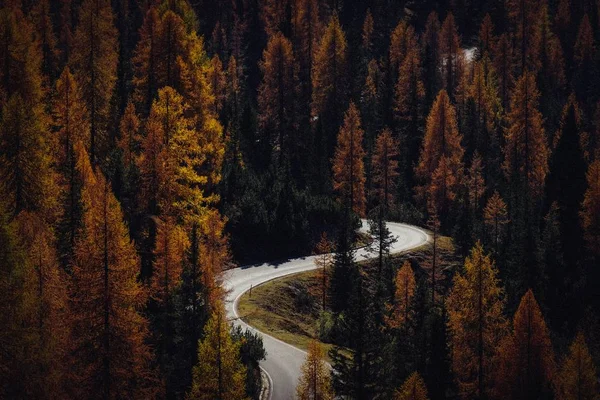 Tiro aéreo de uma estrada curvilínea no meio de árvores amarelas e verdes — Fotografia de Stock
