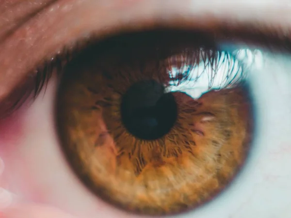 Close up shot of a light brown eye — Stock Photo, Image