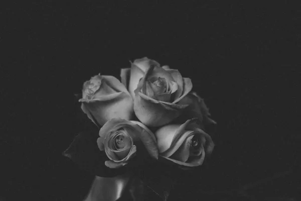 Grayscale tiro de buquê de flor de rosa — Fotografia de Stock