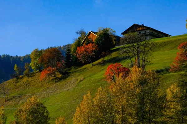 एका सनी दिवशी गवत शेतात आणि लाल पाने झाडे असलेल्या टेकडीवर दोन घरांचे सुंदर शॉट — स्टॉक फोटो, इमेज
