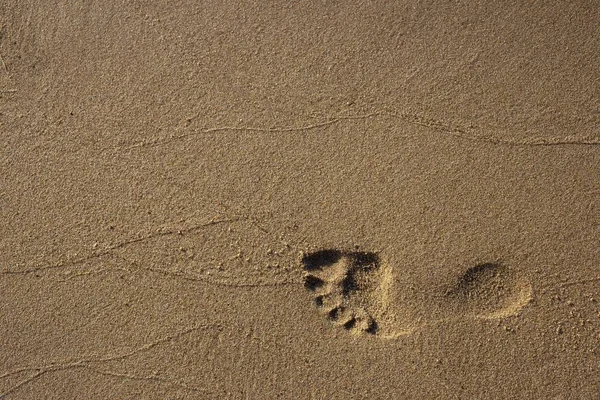 Aufnahme eines Fußabdrucks auf braunem Sand — Stockfoto