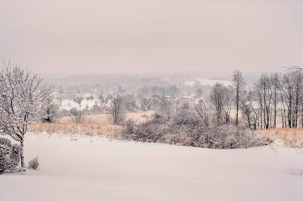 Beautiful scenery of the countryside covered in snow