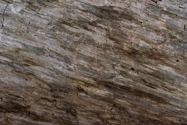 Fresco grungy resistente alle intemperie sfondo legno arrugginito — Foto Stock