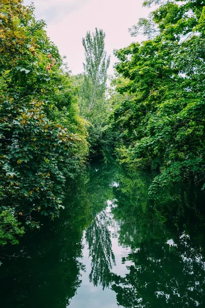 Vacker vertikal bild av vattenförekomst med grönska runt och reflektioner — Stockfoto