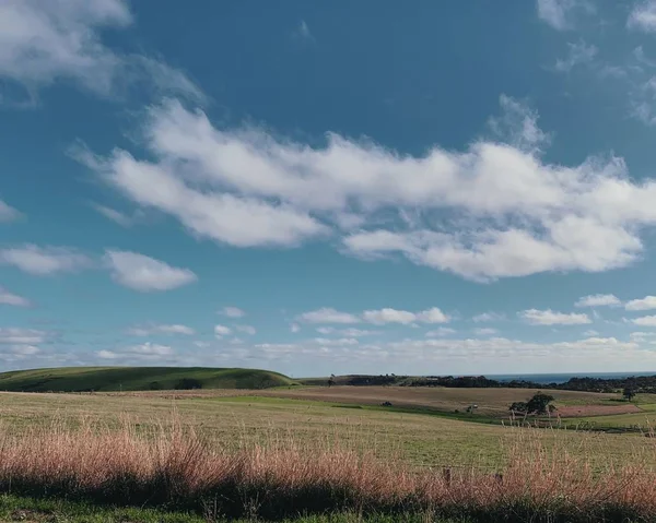 白い雲と澄んだ青空の下の草原の広いショット — ストック写真