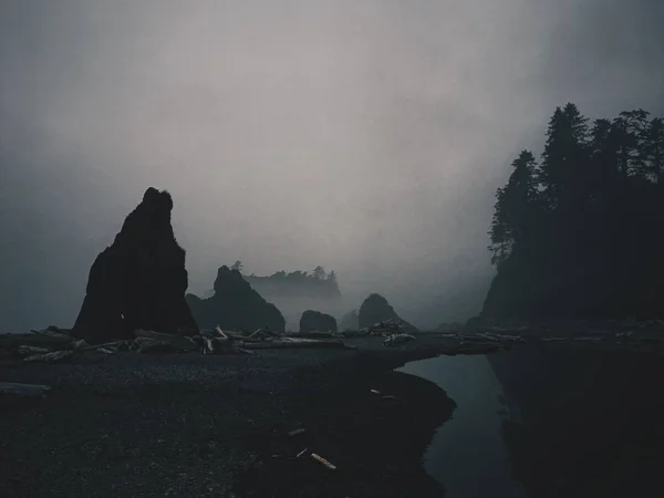 Étang près d'une forêt et bâtons sur un sol et une silhouette de rochers avec brouillard autour d'eux — Photo