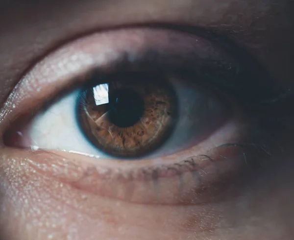 Closeup shot of brown eyes — Stock Photo, Image