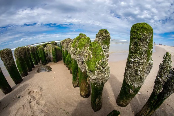 Широкий фішинг вертикальних каменів, покритих зеленим мохом на піщаному пляжі в сонячний день — стокове фото