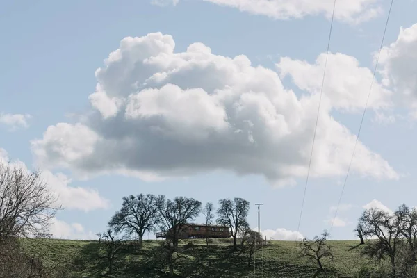 Bred skud af træer i en grøn græsmark nær en træhytte under en klar himmel med hvide skyer - Stock-foto