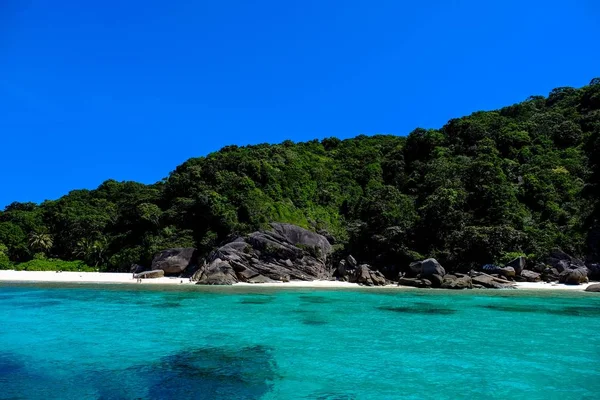 Schöne Aufnahme von klarem Wasser in Küstennähe mit Felsen und Bäumen am Tag — Stockfoto