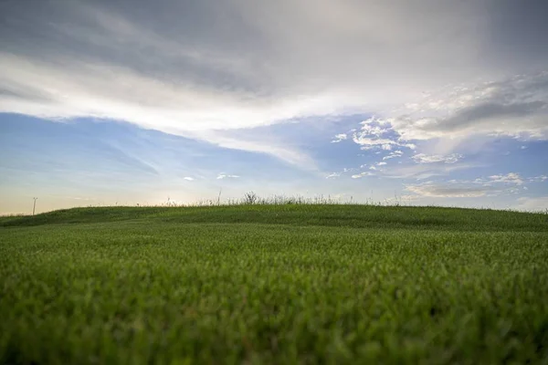 Weitwinkelaufnahme eines schönen grünen Feldes mit erstaunlich großen Wolken am blauen Himmel — Stockfoto