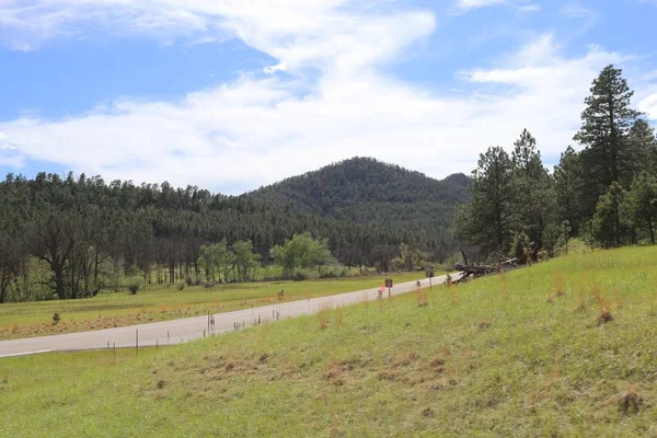 Camino en medio de los campos de hierba con árboles y una montaña boscosa en el fondo —  Fotos de Stock