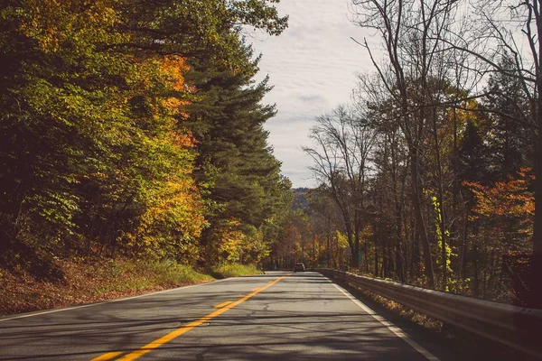 아름다운 숲 속 의 자거리 사이 직선 도로 — 스톡 사진