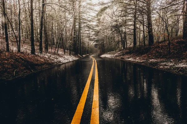 Une route humide dans la forêt — Photo