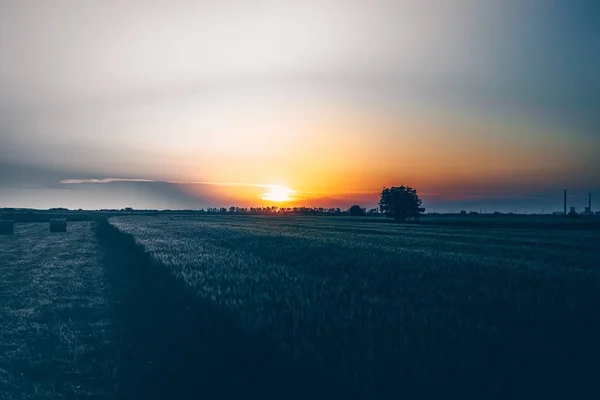 Szerokie ujęcie pięknego pola trawy i drzewa o zachodzie słońca z niesamowitymi chmurami i słońcem — Zdjęcie stockowe