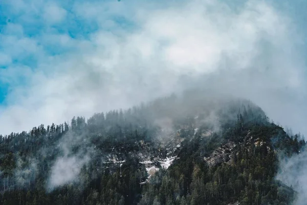 Una Hermosa Toma Aérea Bosque Rodeado Nubes Niebla — Foto de Stock