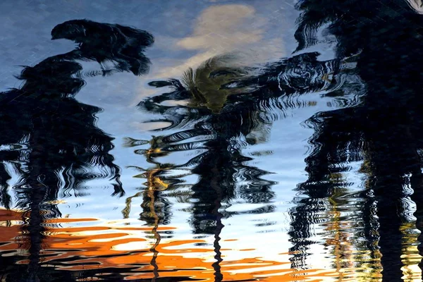 Ripple of water with palm trees reflections — Stock Photo, Image