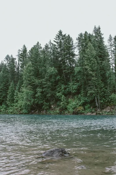 Eine Vertikale Aufnahme Eines Felsens Wasser Wald Mit Hohen Bäumen — Stockfoto