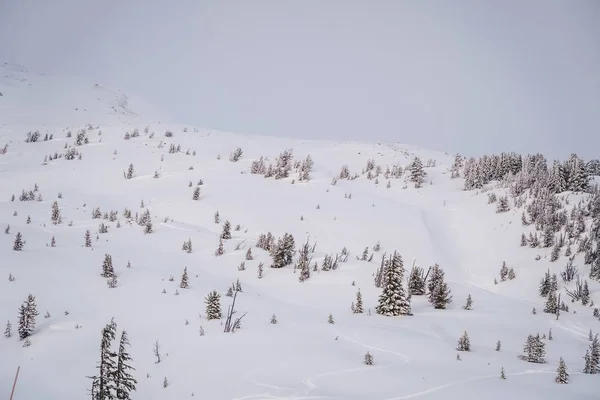 白い雪に覆われ 澄んだ空の下で噴き出す山々の広いショット — ストック写真